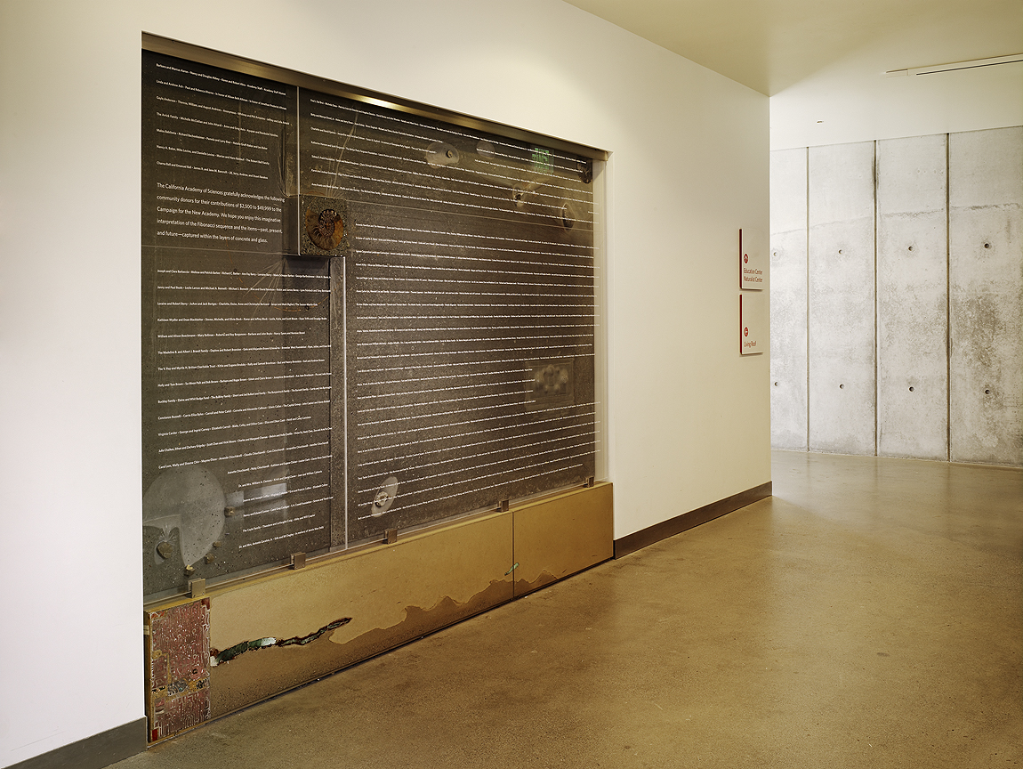 California Academy of Sciences Donor Wall | CHENG Design