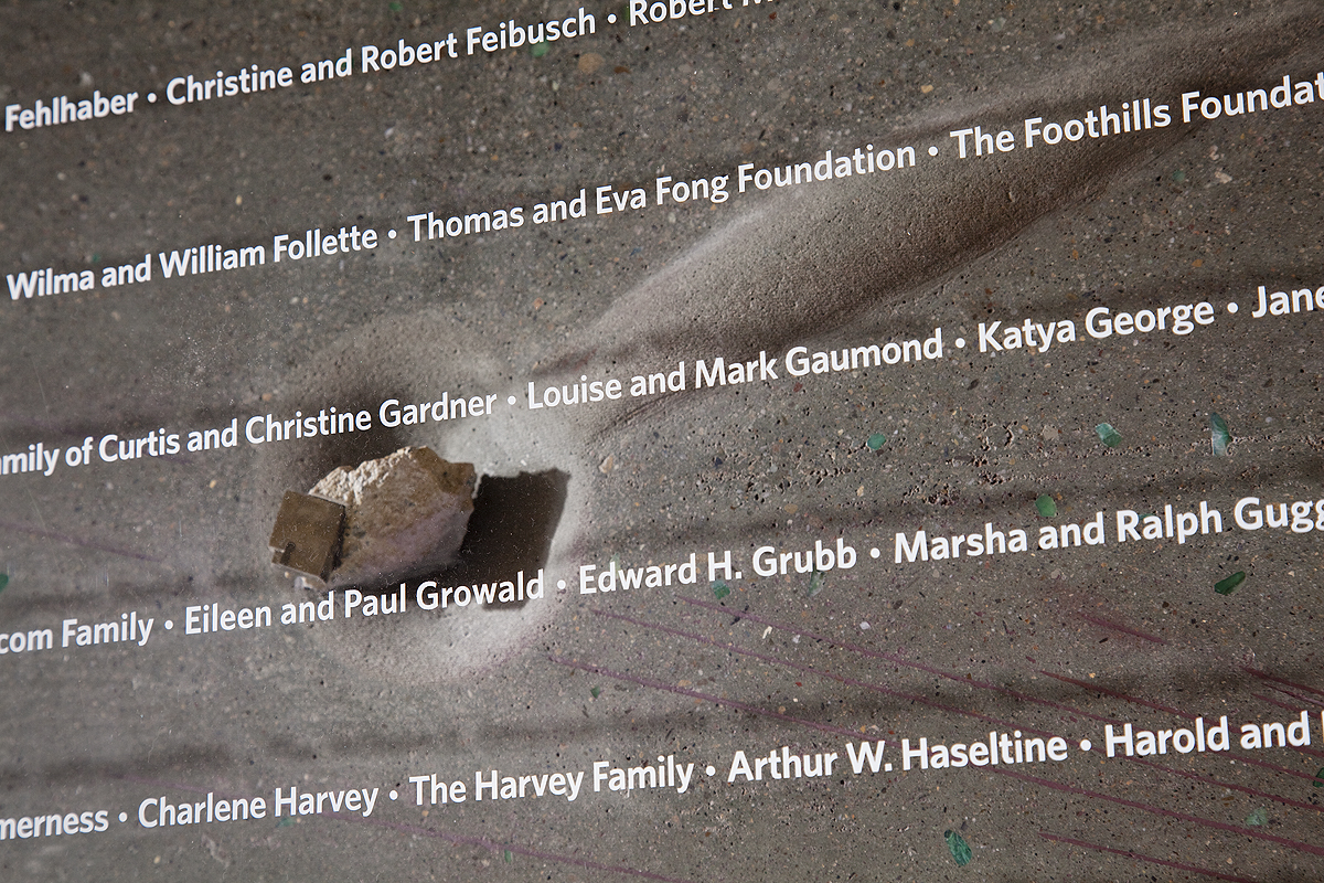 California Academy of Sciences Donor Wall | CHENG Design