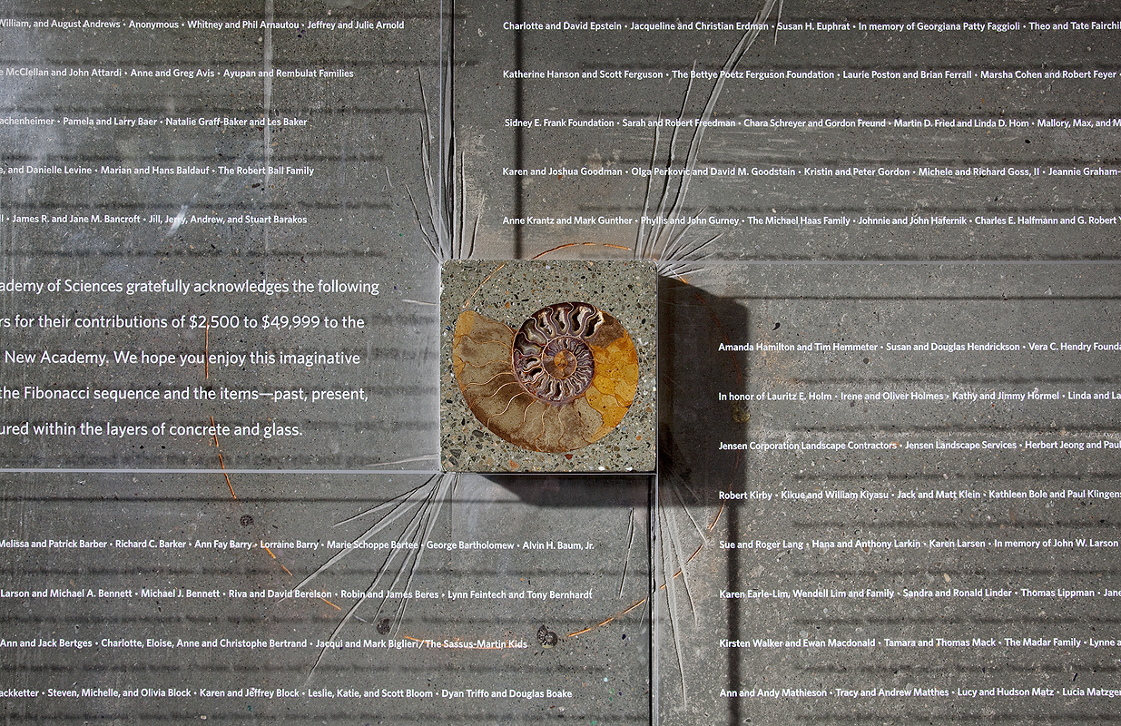 California Academy of Sciences Donor Wall | CHENG Design